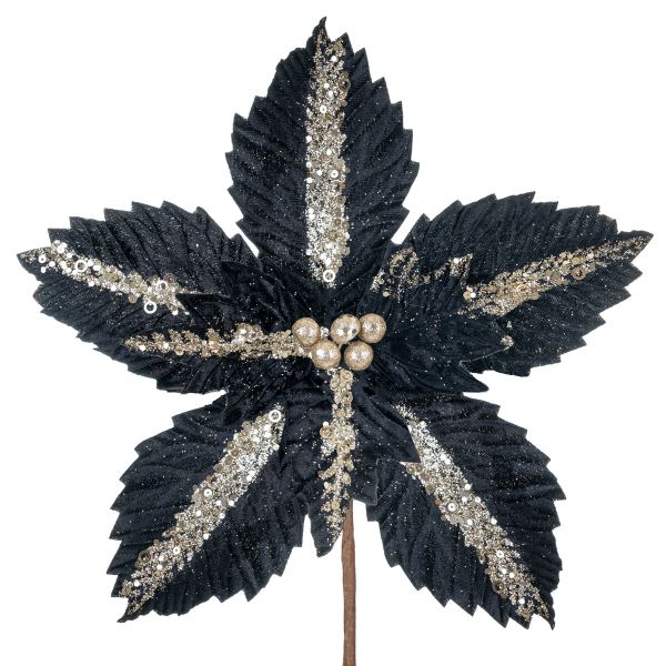 Fiore di Natale nero Nuit de Noel 22 cm 