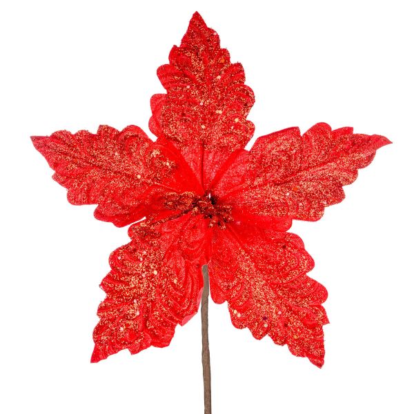 Fiore di Natale rosso Meraviglia Vermiglia 24 cm