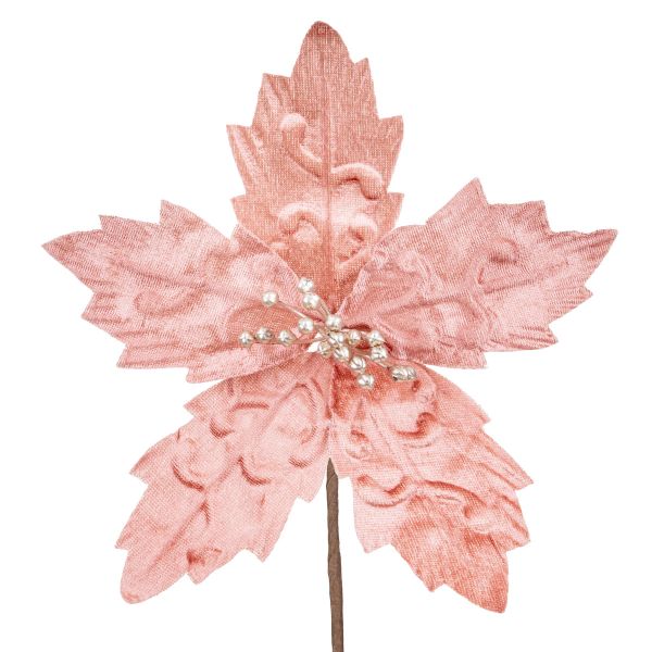 Fiore di Natale rosa Vetta del Mondo 31 cm