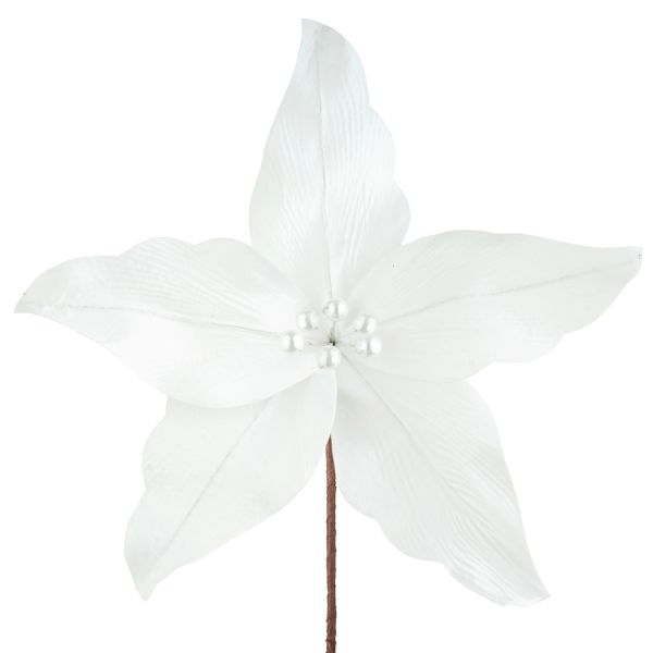 Fiore di Natale bianco Perle de Mercure 24 cm