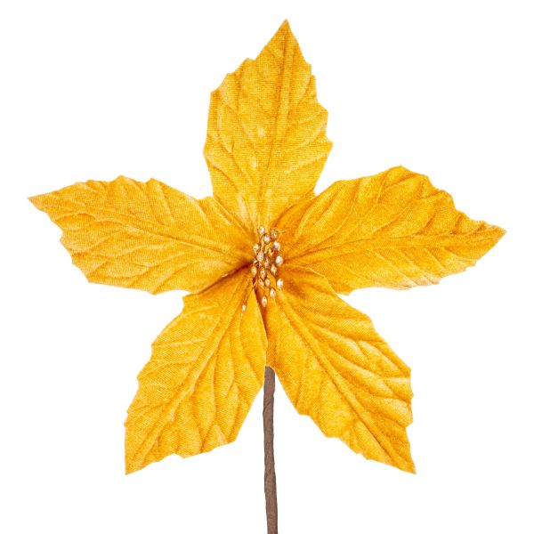 Fiore di Natale oro Midday in Winter 18 cm