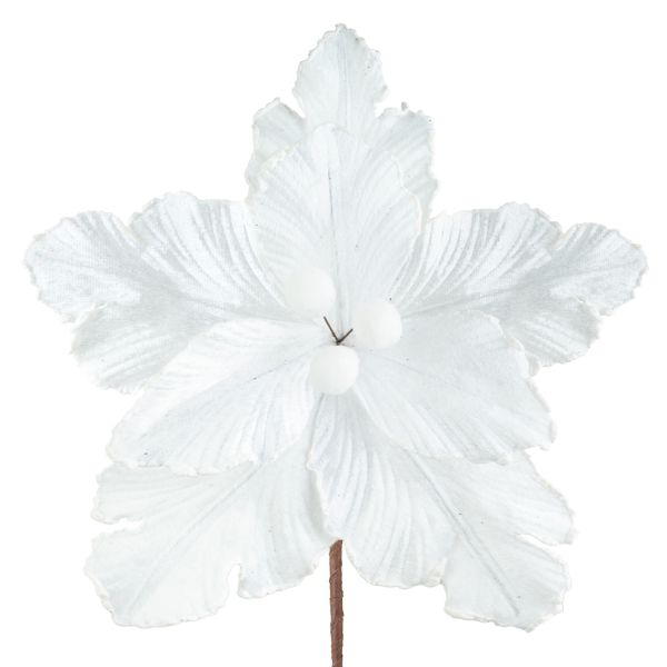 Fiore di Natale bianco Bourgeon de Neige 20 cm