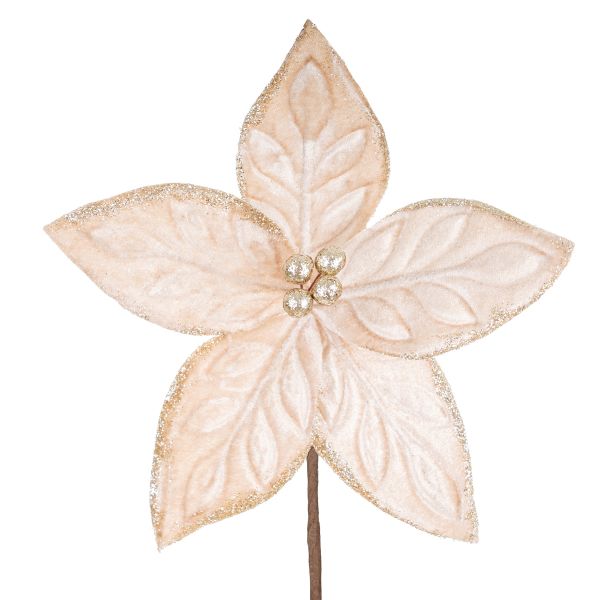 Fiore di Natale champagne Precious Harvest 20 cm