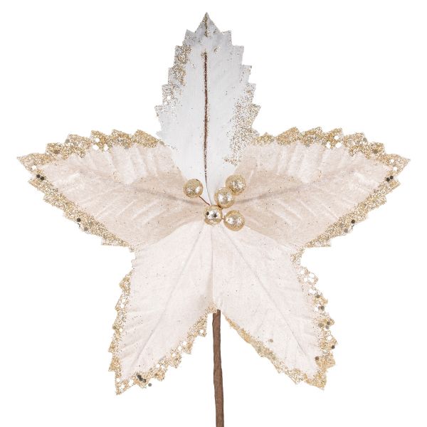Fiore di Natale champagne Rich Leaf Legend 22 cm