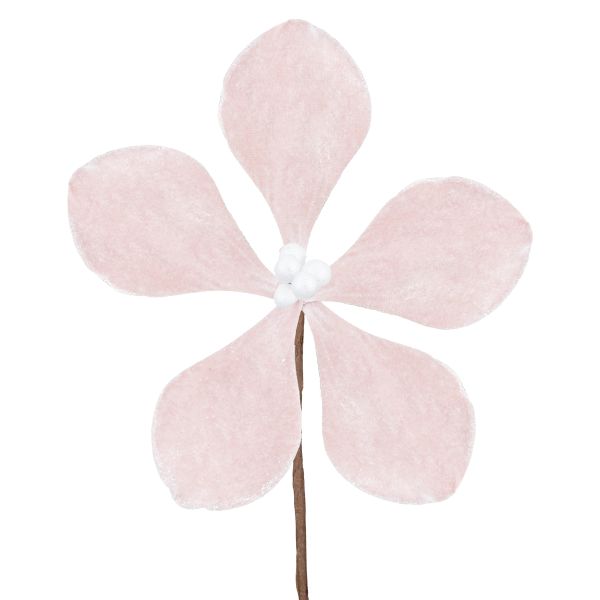 Fiore di Natale rosa Chiave della Felicità 14 cm