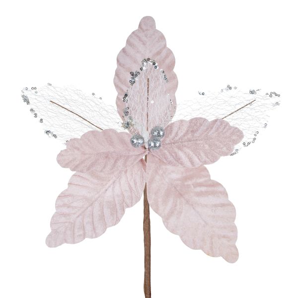 Fiore di Natale rosa Bacio della Rugiada 24 cm
