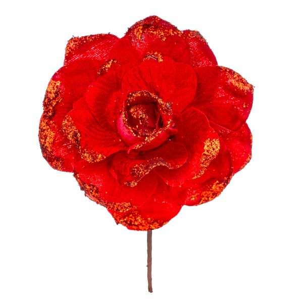 Rosa rossa Reine des Coeurs 13 cm