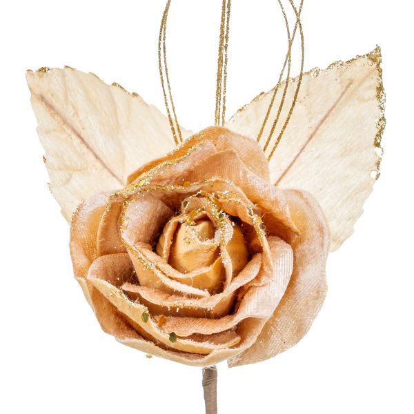 Rosa panna Ricordo delle Stelle 27 cm