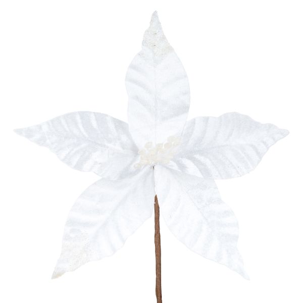 Fiore di Natale bianco Pure Love Spell 20 cm