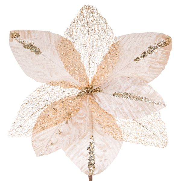 Fiore di Natale champagne Favola del Cuore 30 cm