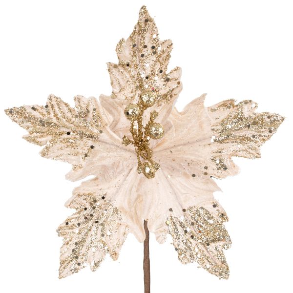 Fiore di Natale champagne Celebration of Nature 33 cm