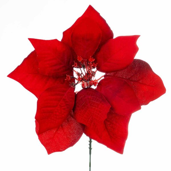Fiore di Natale rosso Don de Chanter 20 cm