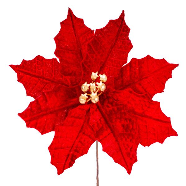 Fiore di Natale rosso Harmonie du Cosmos 26 cm