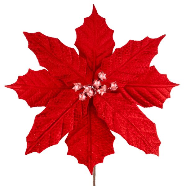 Fiore di Natale rosso Prairie Royale 24 cm