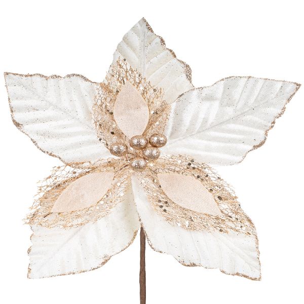 Fiore di Natale champagne Golden Boundary 35 cm