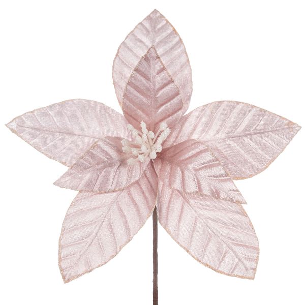 Fiore di Natale rosa Merveille du Ruisseau 30 cm