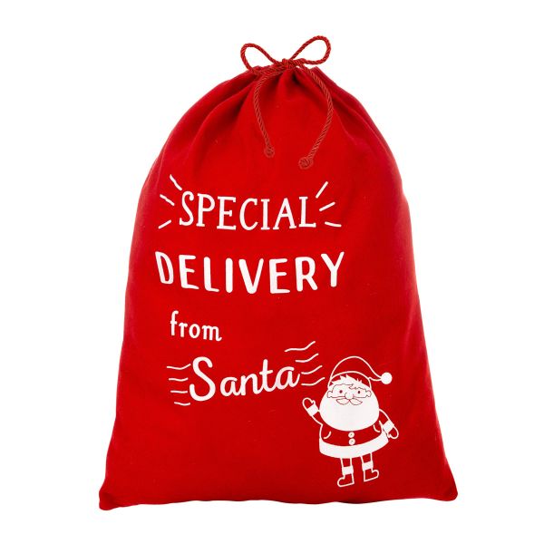Sacco di Babbo Natale special delivery 58 cm