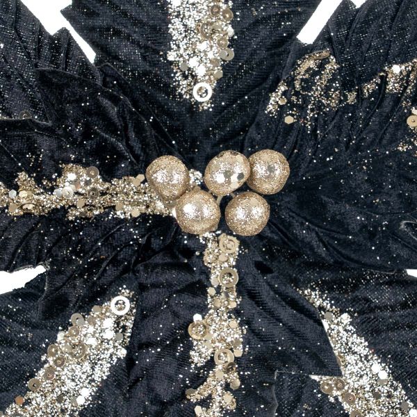 Fiore di Natale nero Nuit de Noel 22 cm 