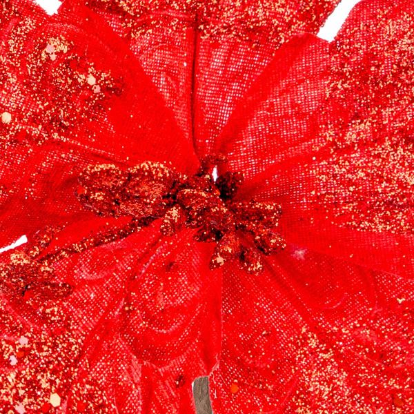 Fiore di Natale rosso Meraviglia Vermiglia 24 cm