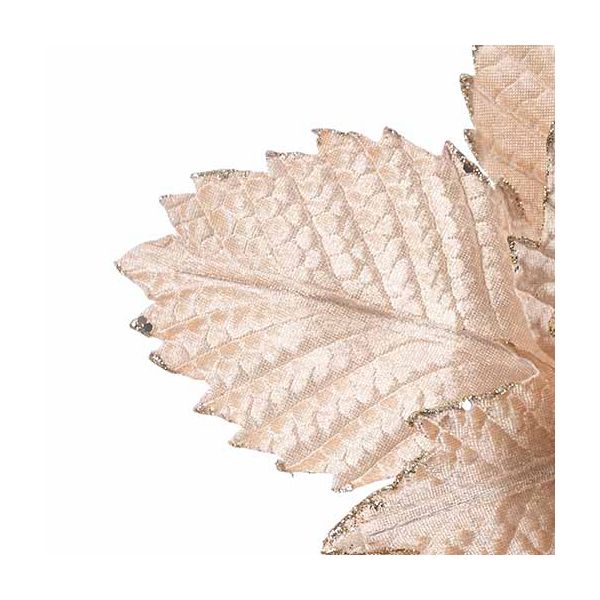 Fiore di Natale champagne con glitter Amour de Jeunesse 33 cm