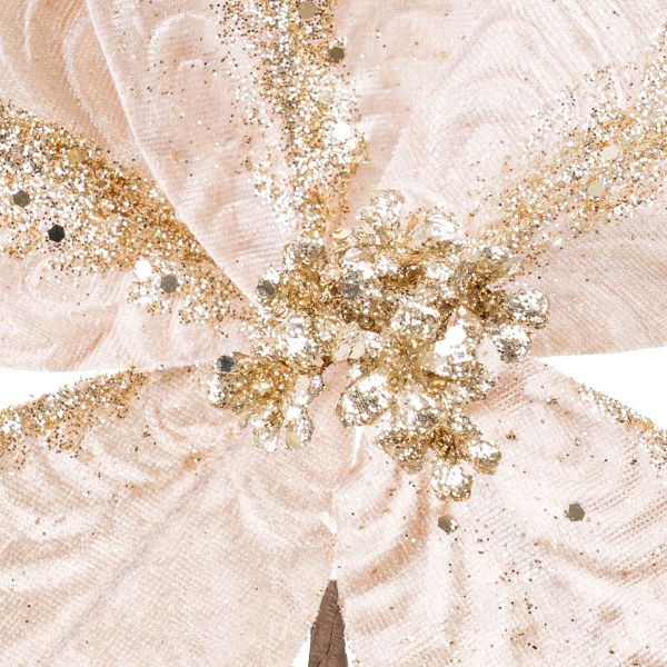 Fiore di Natale champagne Five Gifts Dream 22 cm