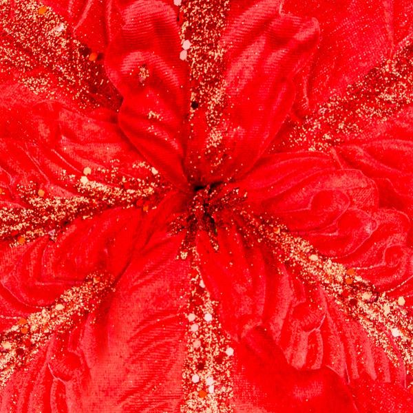 Fiore di Natale rosso Santa Caress 36 cm