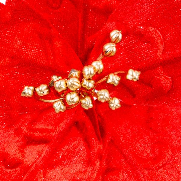 Fiore di Natale rosso Risveglio del Cuore 20 cm