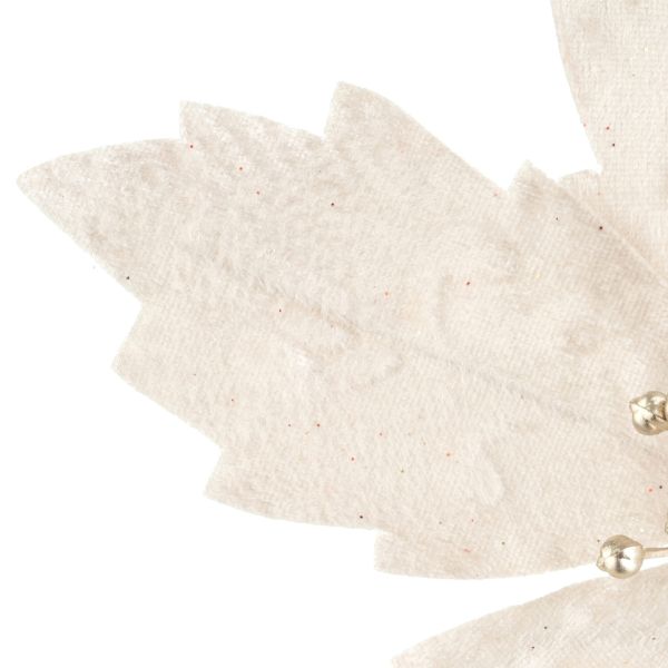 Fiore di Natale champagne Explosion Stellaire 20 cm