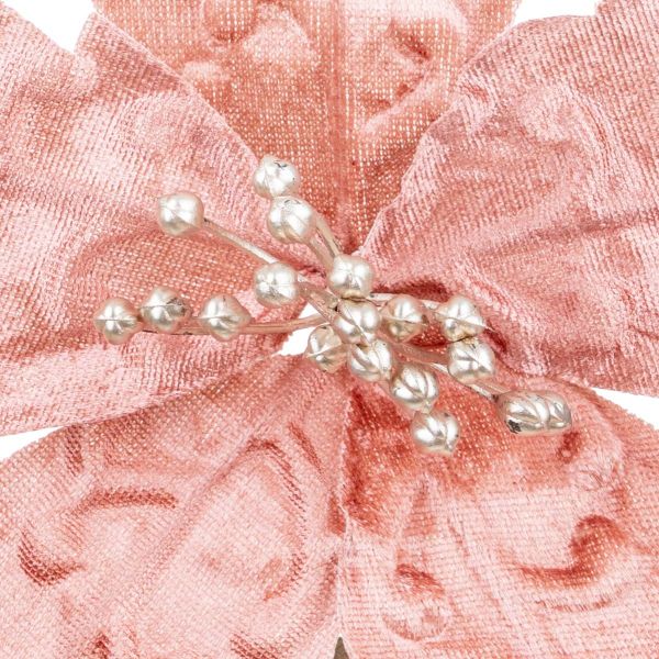 Fiore di Natale rosa Vetta del Mondo 31 cm