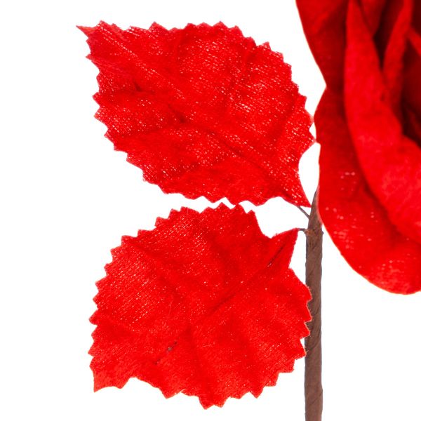 Rosa rossa Amour sans Fin 20 cm