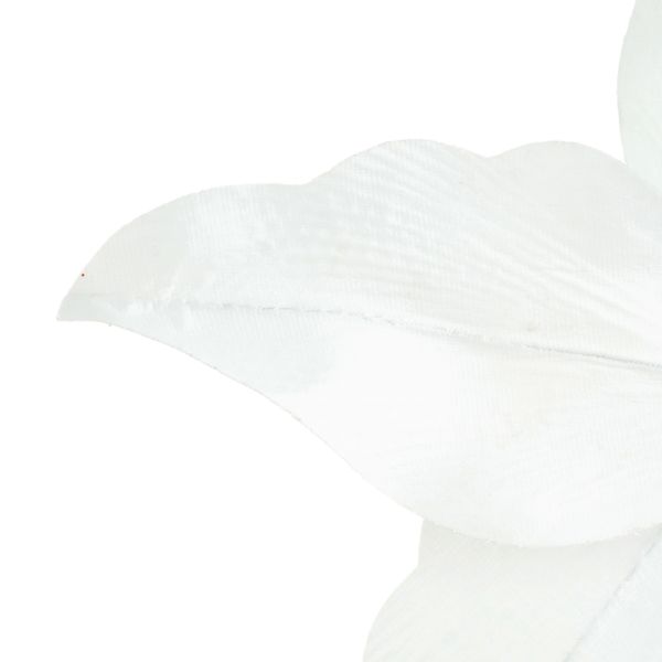 Fiore di Natale bianco Perle de Mercure 24 cm