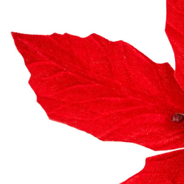 Fiore di Natale rosso Horloge Fleur 24 cm