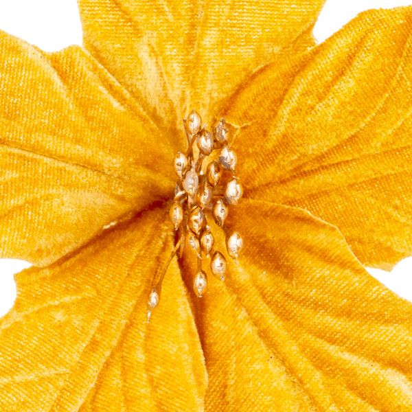 Fiore di Natale oro Midday in Winter 18 cm