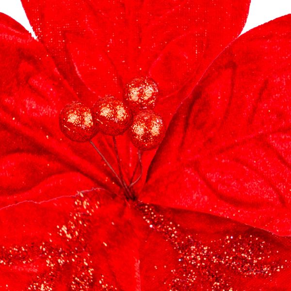 Fiore di Natale rosso King Loyalty 22 cm