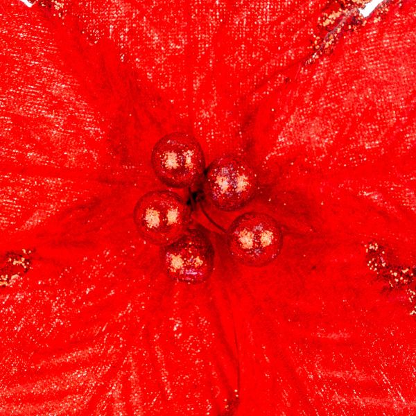 Fiore di Natale rosso Ancient Privilege 30 cm