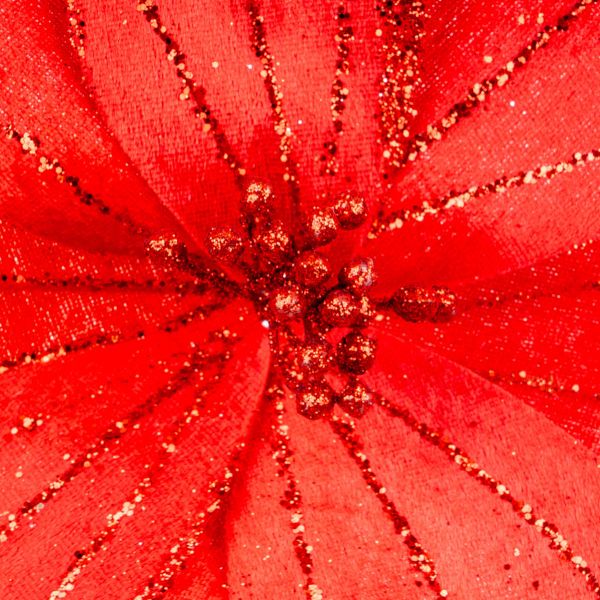Fiore di Natale rosso Eternal Heart Passion 20 cm