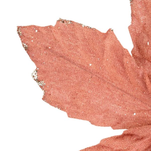 Fiore di Natale rosa Sucre Etoile 22 cm
