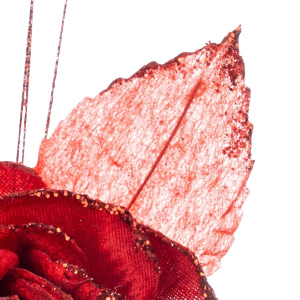 Rosa rossa Ange en Vol 12 cm