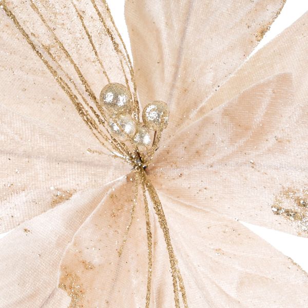 Fiore di Natale champagne Key to Heaven 34 cm