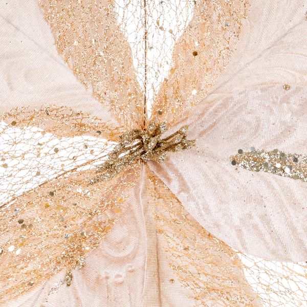Fiore di Natale champagne Favola del Cuore 30 cm