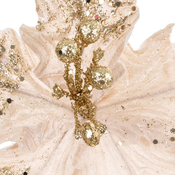 Fiore di Natale champagne Celebration of Nature 33 cm