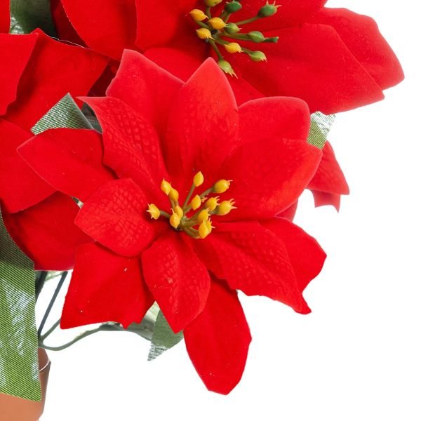 Stella di Natale Amour Vrai 30 cm