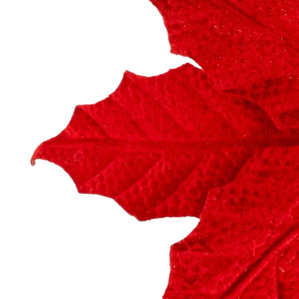 Fiore di Natale rosso Prairie Royale 24 cm