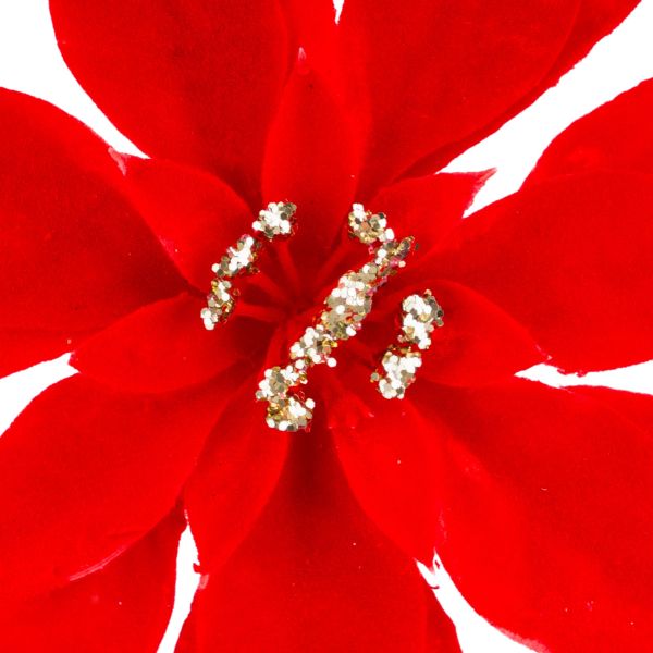 Fiore di Natale rosso Sguardo di Amore 20 cm