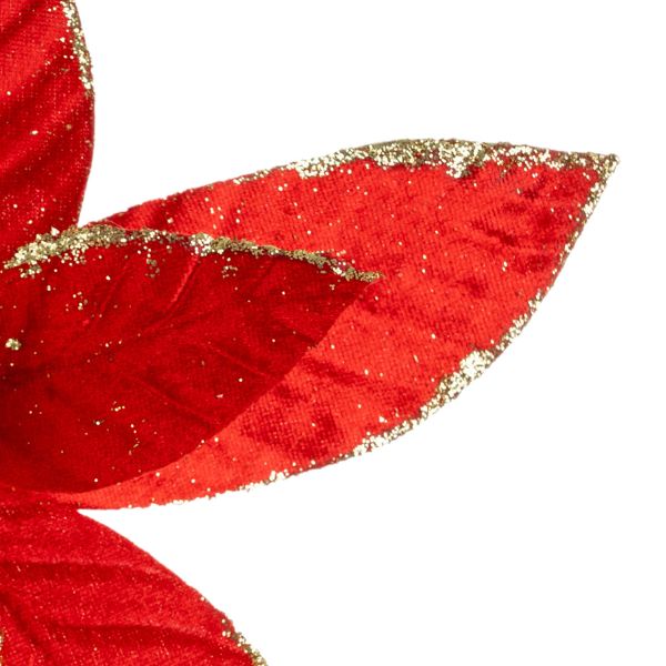 Fiore di Natale rosso Roi de Noel 30 cm