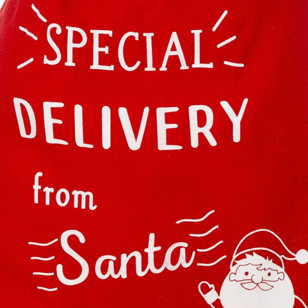 Sacco di Babbo Natale special delivery 58 cm